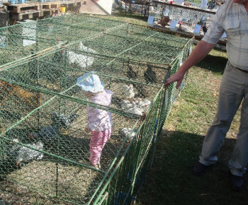 Výstava drobných zvierat 2009
